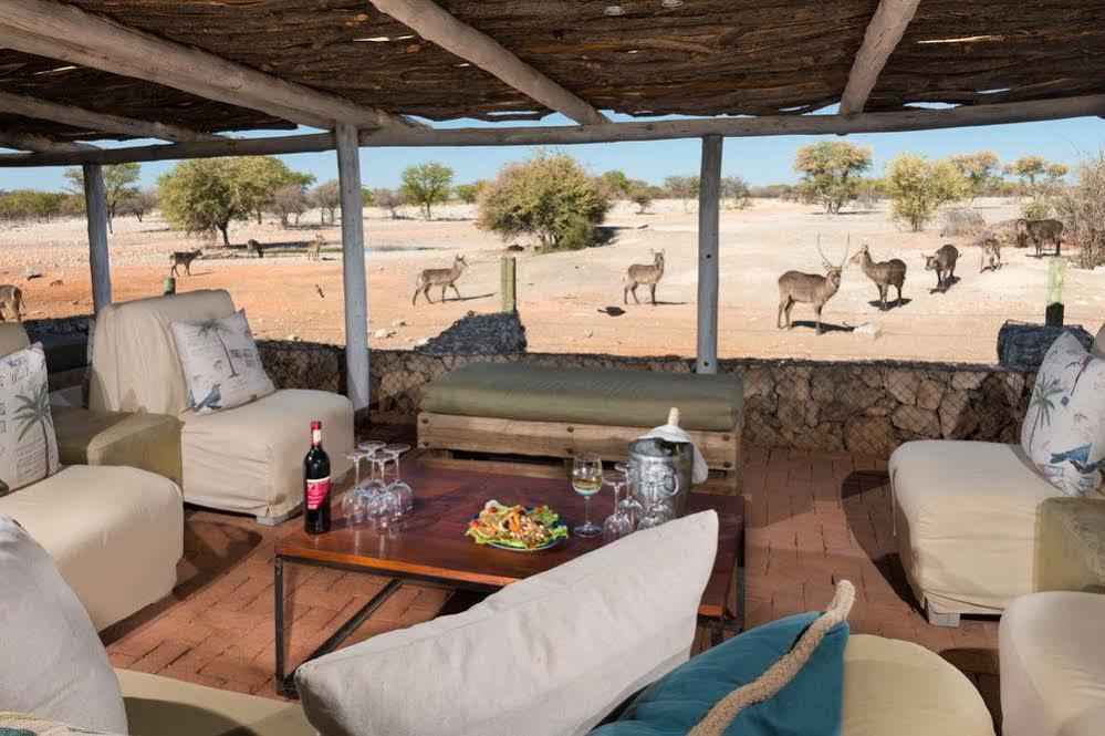Hotel Anderssons Camp Okaukuejo Zewnętrze zdjęcie