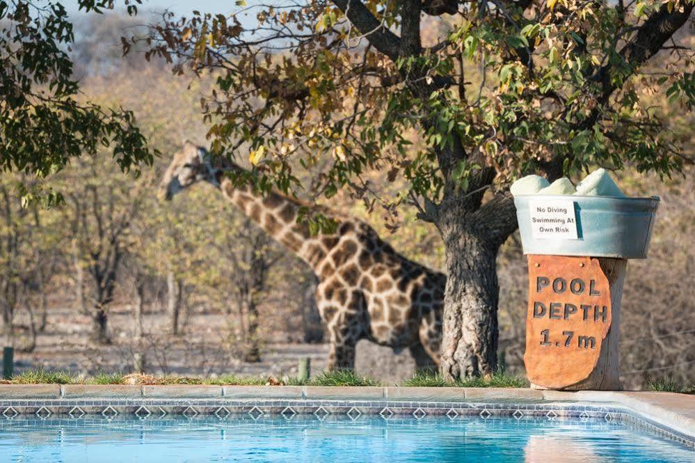 Hotel Anderssons Camp Okaukuejo Zewnętrze zdjęcie